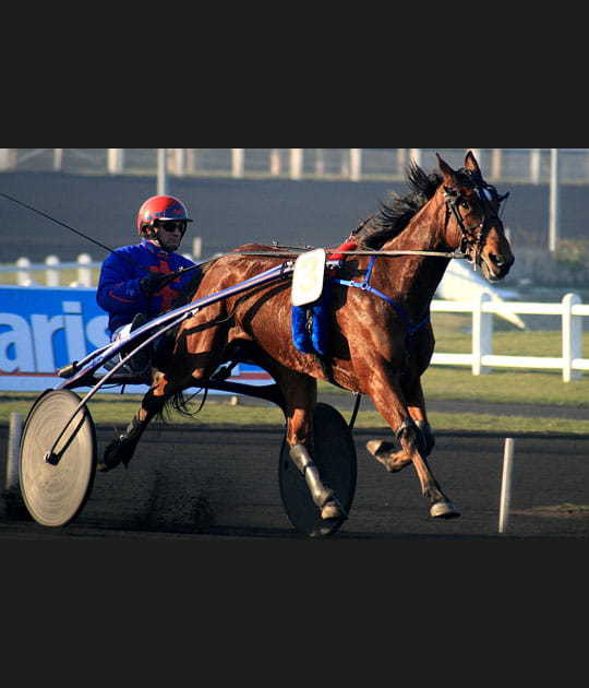 No&euml;l &agrave; l'hippodrome