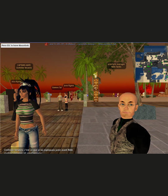 Un v&eacute;ritable engouement pour Second Life