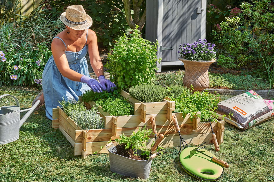 Un potager &agrave; &eacute;tages