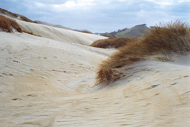 Dunes de sable