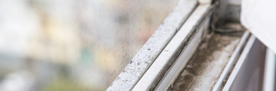 Les Japonais ont la meilleure technique&nbsp;: c'est la plus efficace pour nettoyer les rebords des fen&ecirc;tres