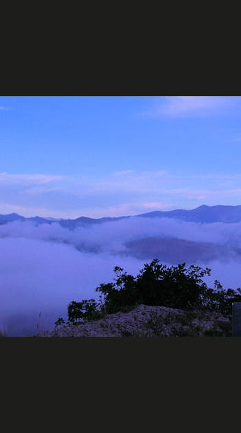 Les Andes tropicales
