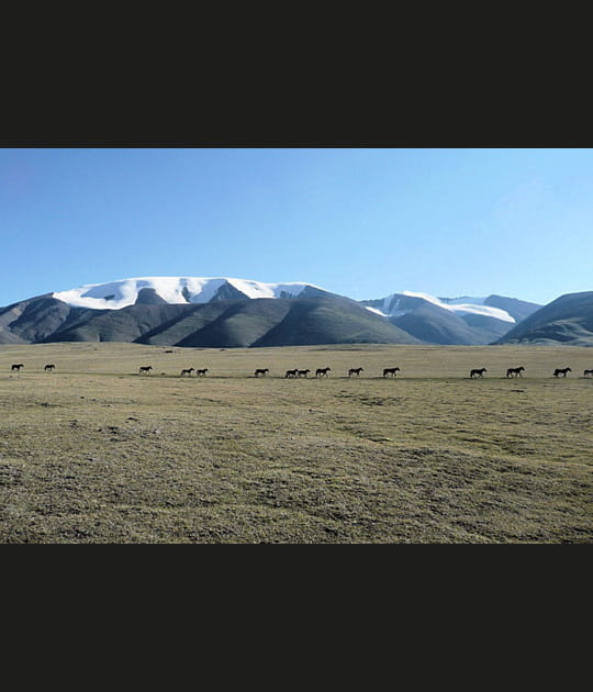 Le d&eacute;sert de Gobi, Mongolie