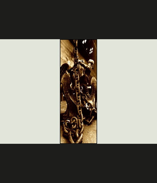 Photographes amateurs