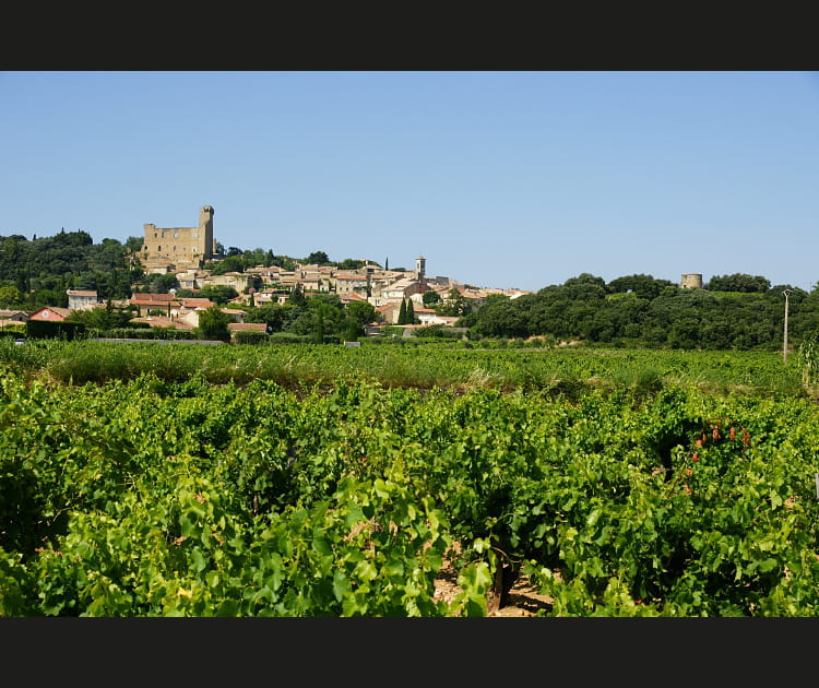 Ch&acirc;teauneuf-du-Pape