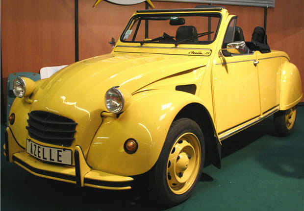 Deux chevaux dans le vent