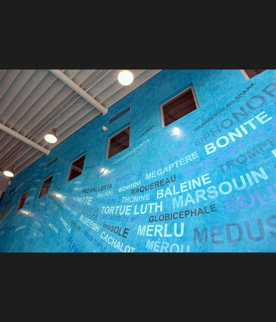 Banc de noms de poissons