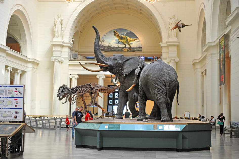 Le Field Museum