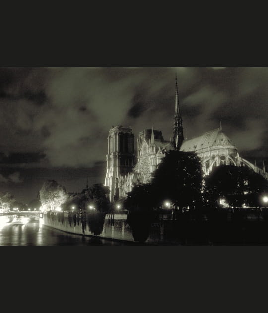 L'Ile de la Cit&eacute; et Notre-Dame de Paris