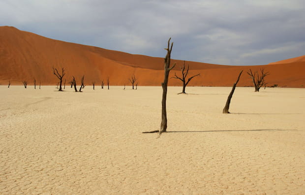 Dead Vlei en Namibie