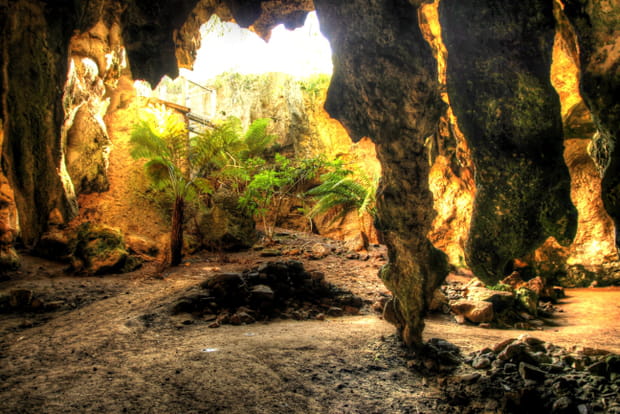 Les grottes de Naracoorte en Australie du Sud
