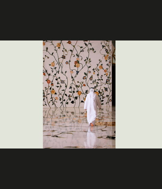 D&eacute;cors d'une mosqu&eacute;e