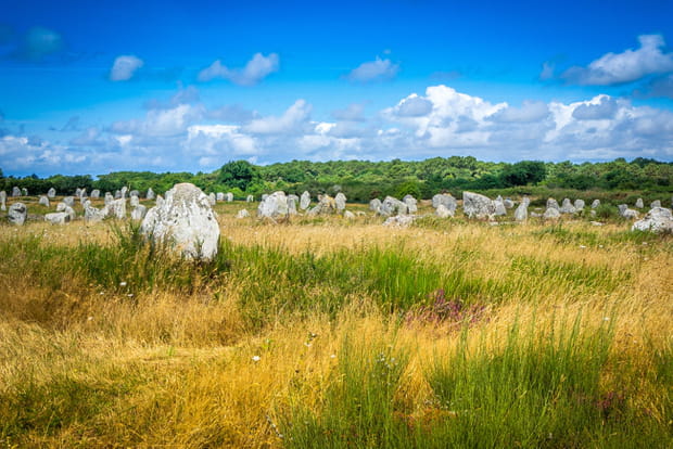 Les alignements de menhirs de Carnac