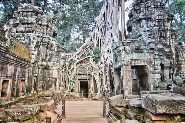Le temple Ta Prohm à Angkor, au Cambodge