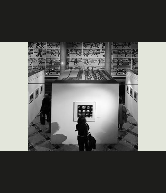 Palmar&egrave;s du concours photo d'actualit&eacute;, janvier 2007