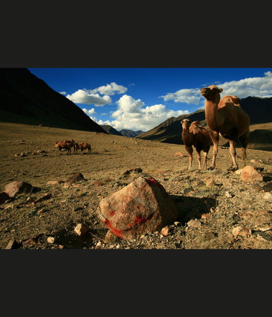 Les plateaux arides du Badakhschan afghan