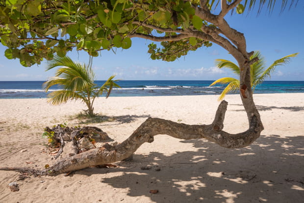 Guadeloupe, l'île aux belles eaux