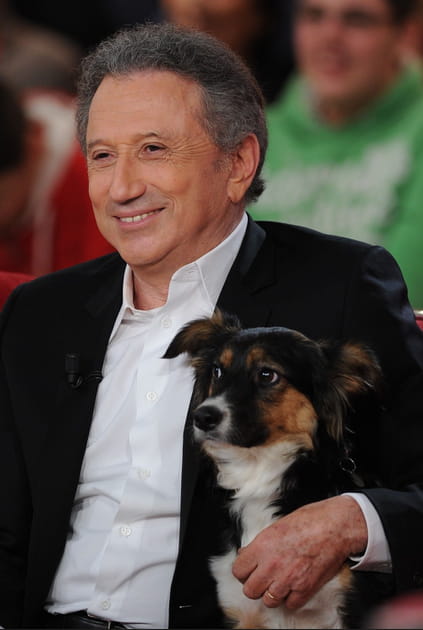 Il recueille les animaux de la t&eacute;l&eacute;-r&eacute;alit&eacute;