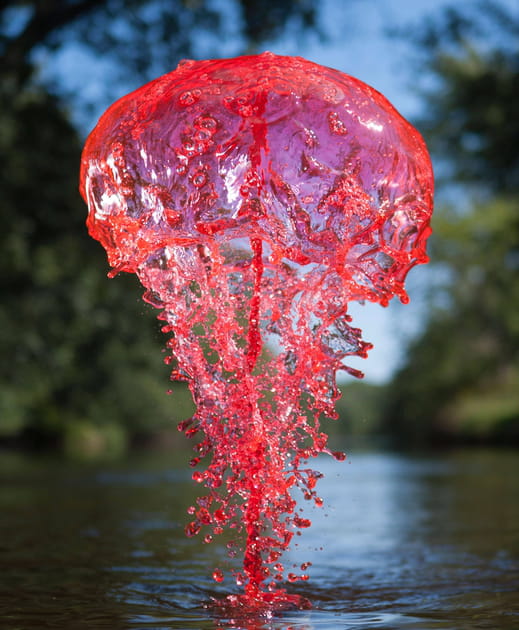 Dentelle grenadine