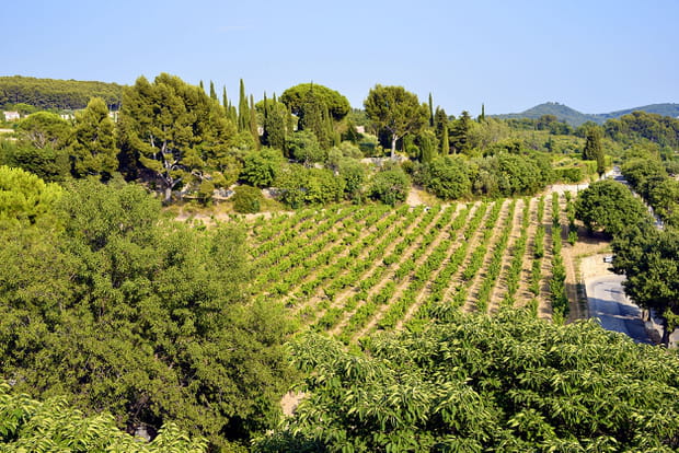 Le Castellet