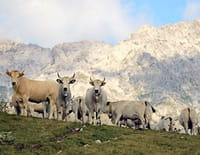 L'italie entre ciel et mer : Les Abruzzes