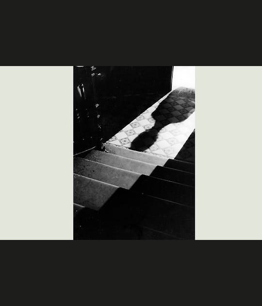 L'ombre