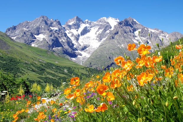 Le massif de la Meije