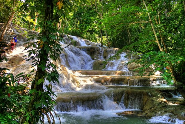 Les Dunn's River Fall