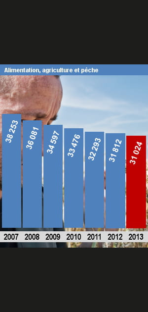 Les effectifs de l'Agriculture et P&ecirc;che