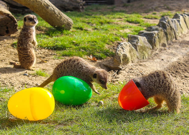 Pâques au zoo African Safari