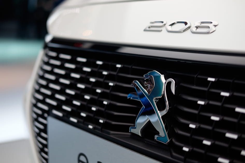 Zoom sur le logo dichro&iuml;que