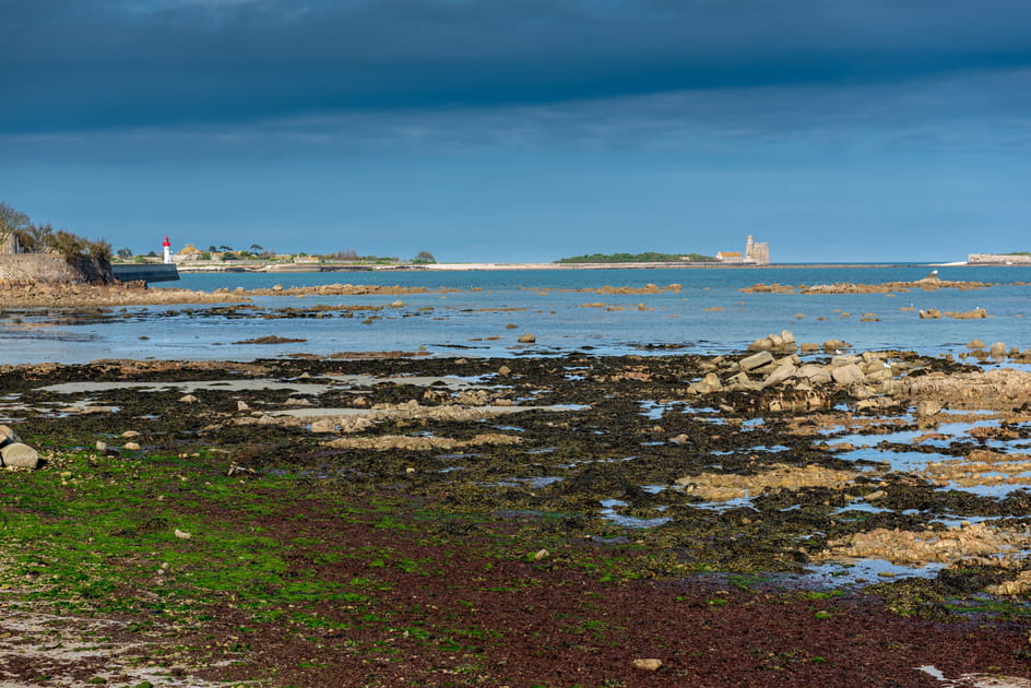 Randonner &agrave; Saint-Vaast-la-Hougue