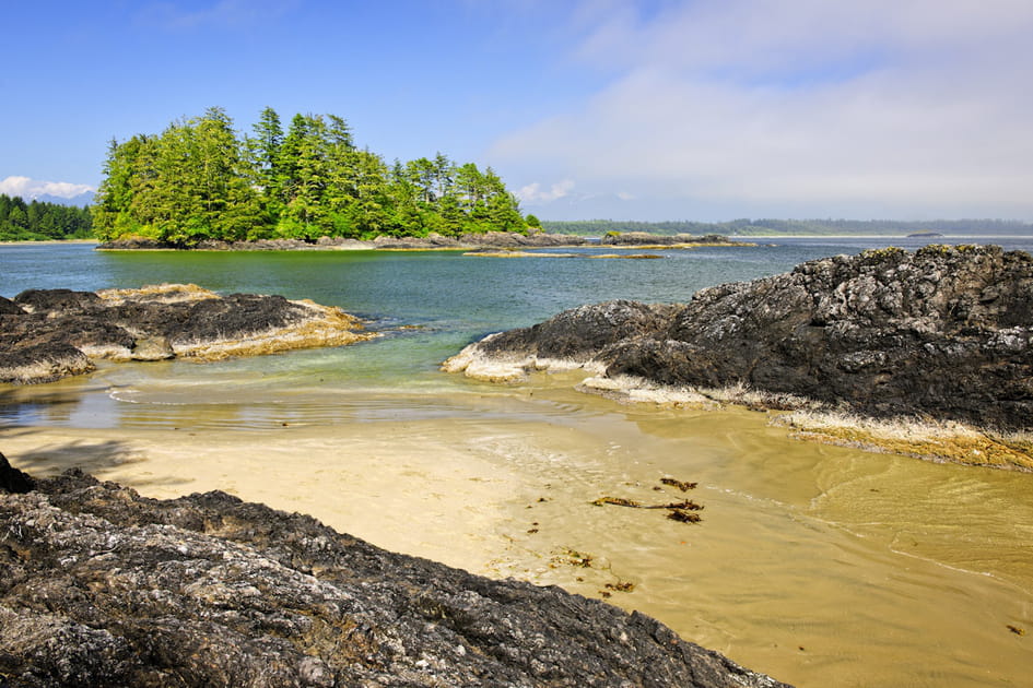 L'&icirc;le de Vancouver : &agrave; voir au moins une fois