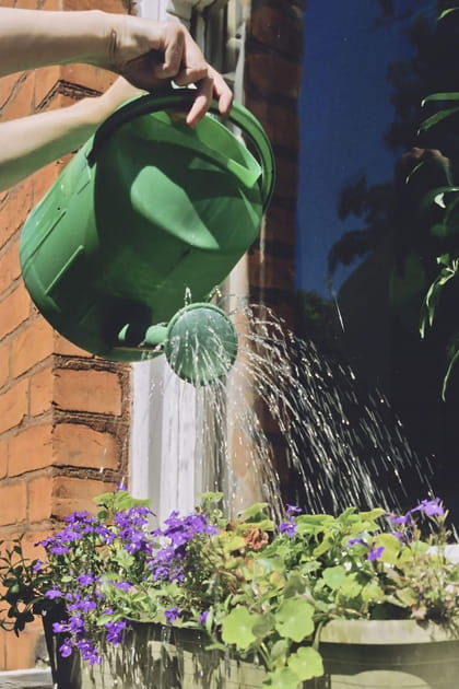 Arroser ses plantes le matin quand il fait chaud&nbsp;: bonne ou mauvaise id&eacute;e&nbsp;?