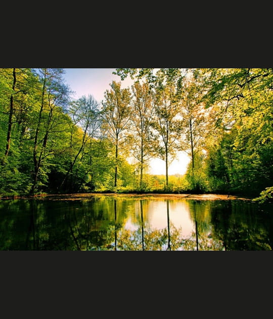 Reflets et lumi&egrave;re