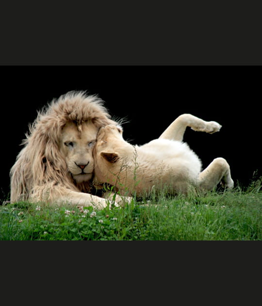 Moment de tendresse