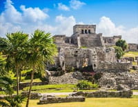 Mayas, les secrets révélés