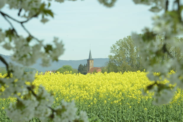 Hunspach, un village méconnu des touristes