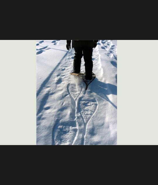 Sur les traces du trappeur