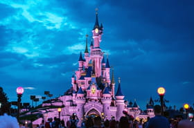 C'est le pire moment pour aller à Disneyland Paris, il vaut mieux attendre cette date