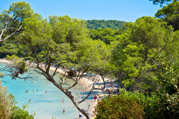 L'Île de Porquerolles au large d'Hyères