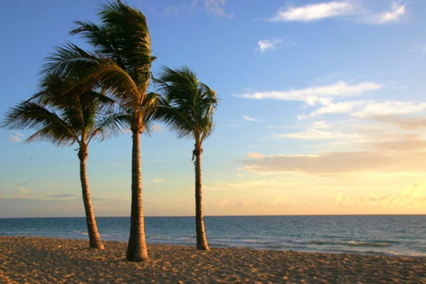 Sous le soleil de Floride... Exactement