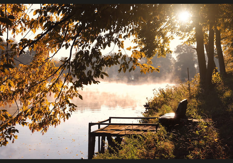 Le parc provincial d'Algonquin