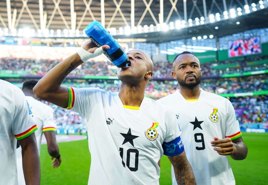 Andr&eacute; et Jordan Ayew