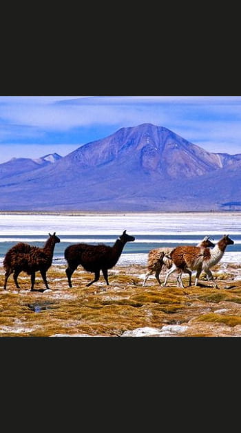 Le d&eacute;sert d'Atacama au Chili