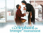 Un éléphant, ça trompe énormément