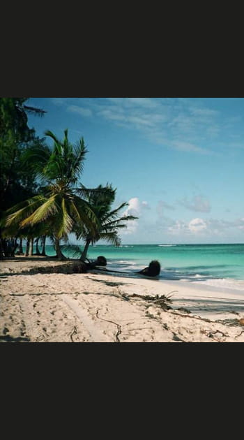 Au c&oelig;ur des Antilles