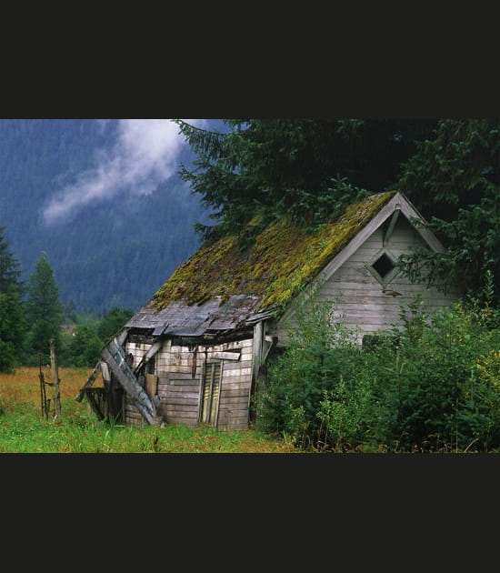 A l'abandon