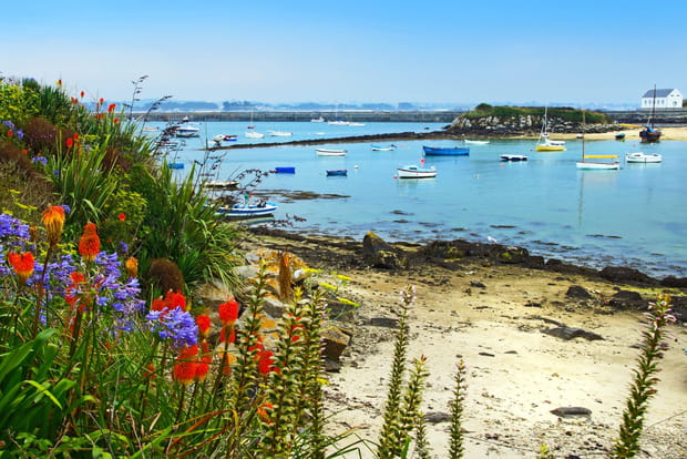 L'île de Batz, un jardin flottant en Bretagne