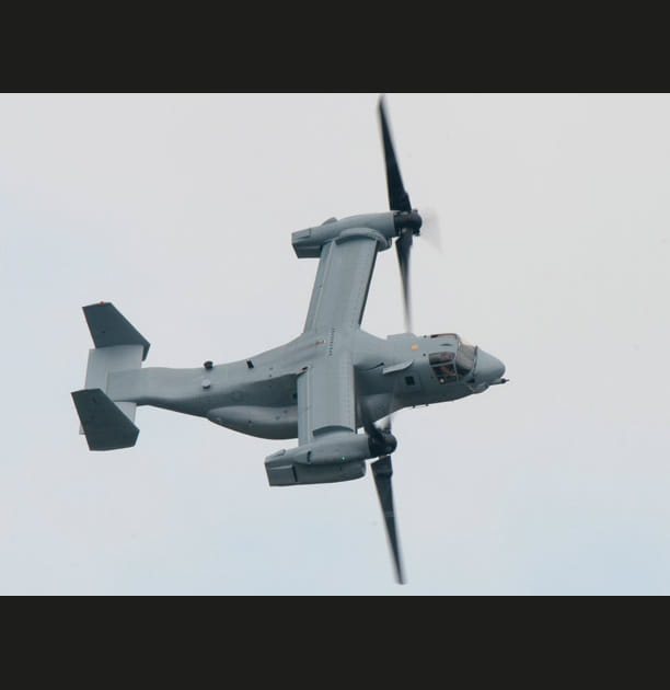 Musclor devient papillon